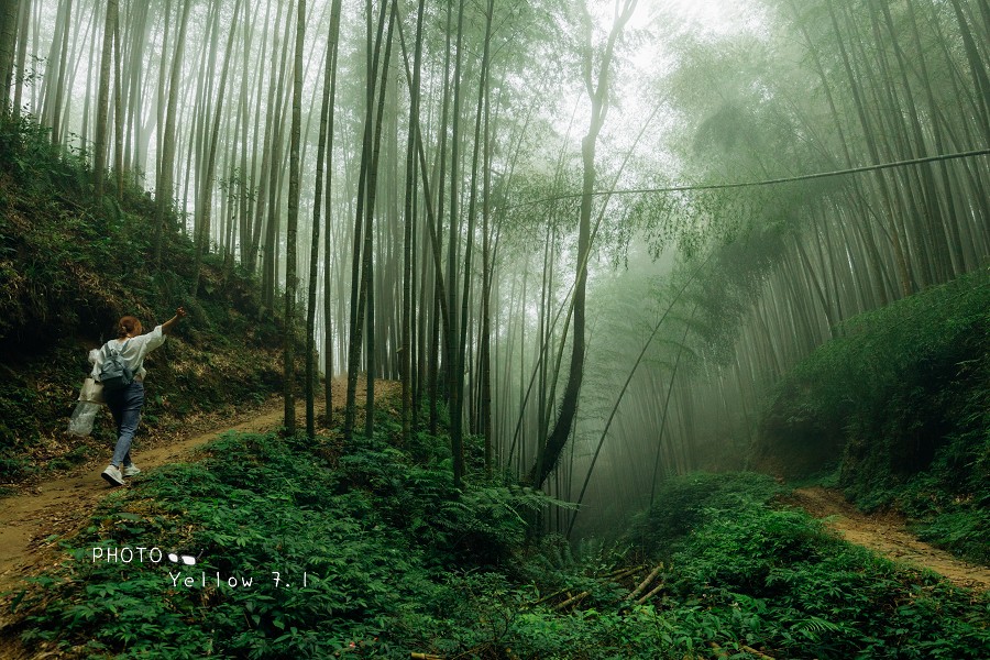 草嶺石壁森林療癒基地