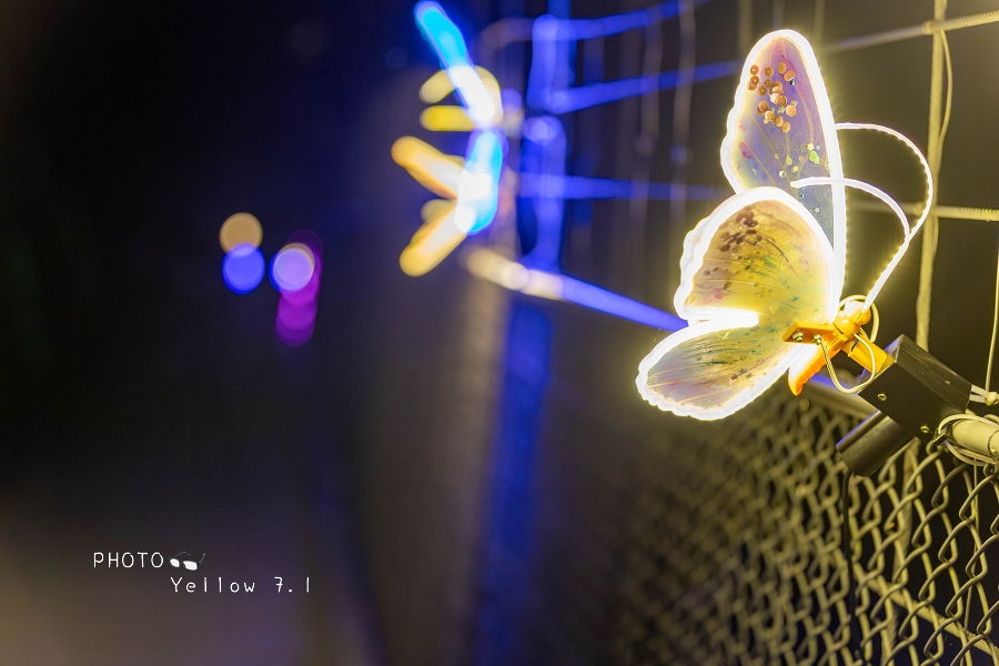 2026龍崎光節-空山祭