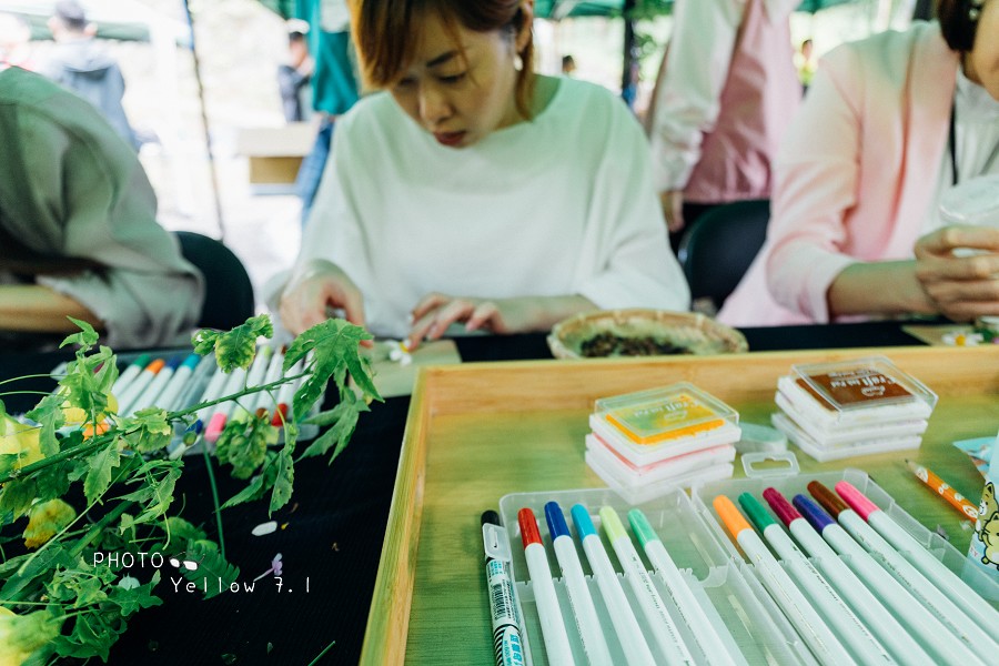 草嶺石壁森林療癒基地