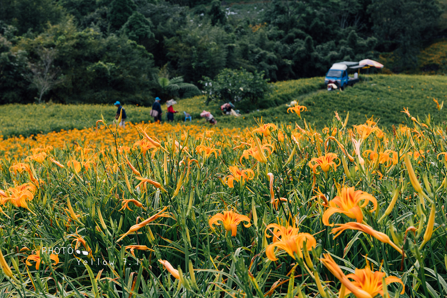 赤科山文旅